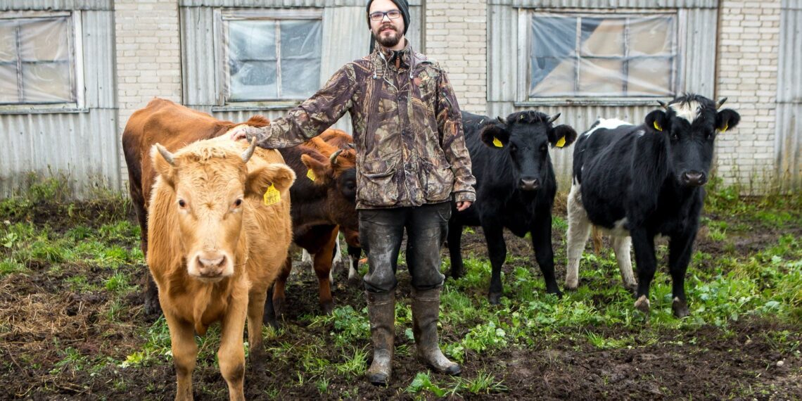 Loomapidajad ootavad erakorralise toetuse päästerõngast. Kaspar Põlluäär kaalus piimatootmise lõpetamist juba paar aastat tagasi. Praegu tundub mõtte teoks tegemine aina realistlikum. Foto: Maanus Masing / Saarte Hääl