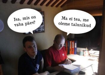 Asendusteenus. Ainult töö ja töö... Kollaaž: Nopri talu