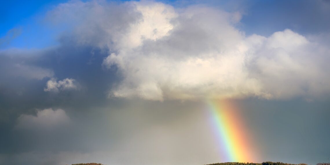 Eesti Põllumajanduskoda: kavandatav maamaksutõus mõjutaks meie põllumajandustootjaid ja metsaomanikke liiga teravalt. Foto: Pixabay