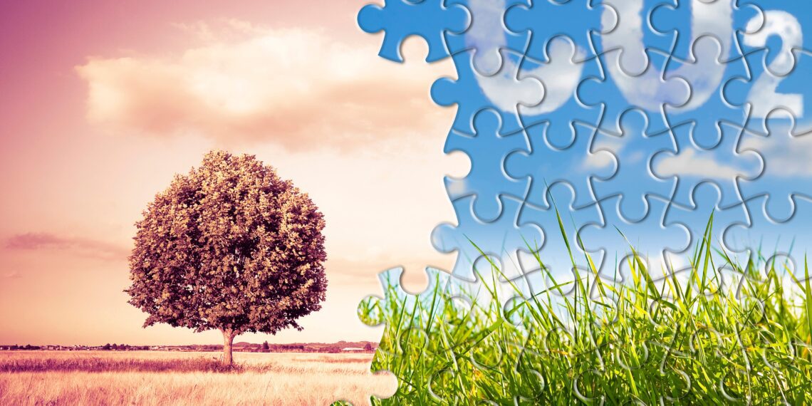 Süsinikupõllumajandus. Foto: Shutterstock