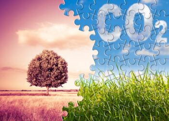 Süsinikupõllumajandus. Foto: Shutterstock