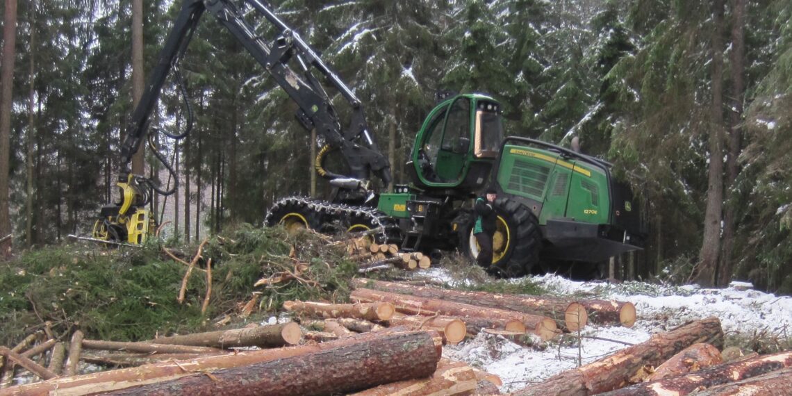 Talv, ideaalne aeg oma metsaga tegelemiseks. Foto: Metsaühistu