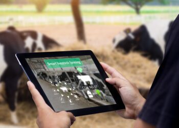 Digitaliseerimisel on suur potentsiaal. Piimaklaster ja maaülikool arendavad digitaliseerimist veisekasvatuses. Foto: Shutterstock