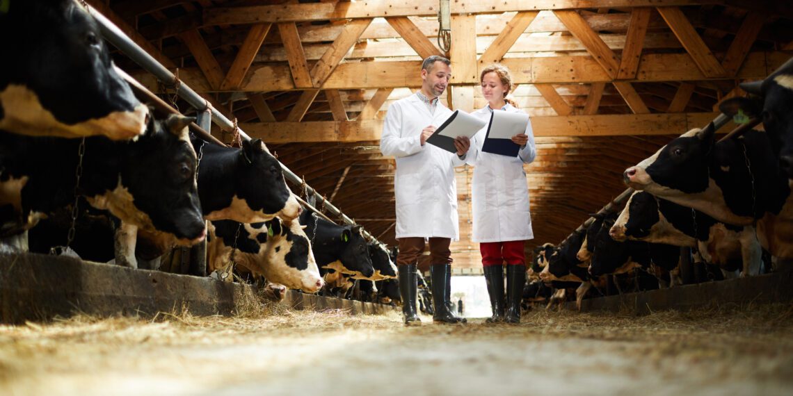 Aretustoetuse ühikumäärad tõusevad. Foto: Shutterstock