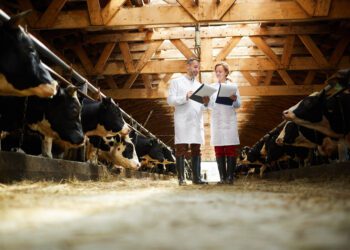 Aretustoetuse ühikumäärad tõusevad. Foto: Shutterstock