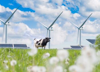 Talunikud soovivad osta elektrit börsiväliselt õiglaste hindadega. Foto: Shutterstock