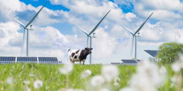 Talunikud soovivad osta elektrit börsiväliselt õiglaste hindadega. Foto: Shutterstock