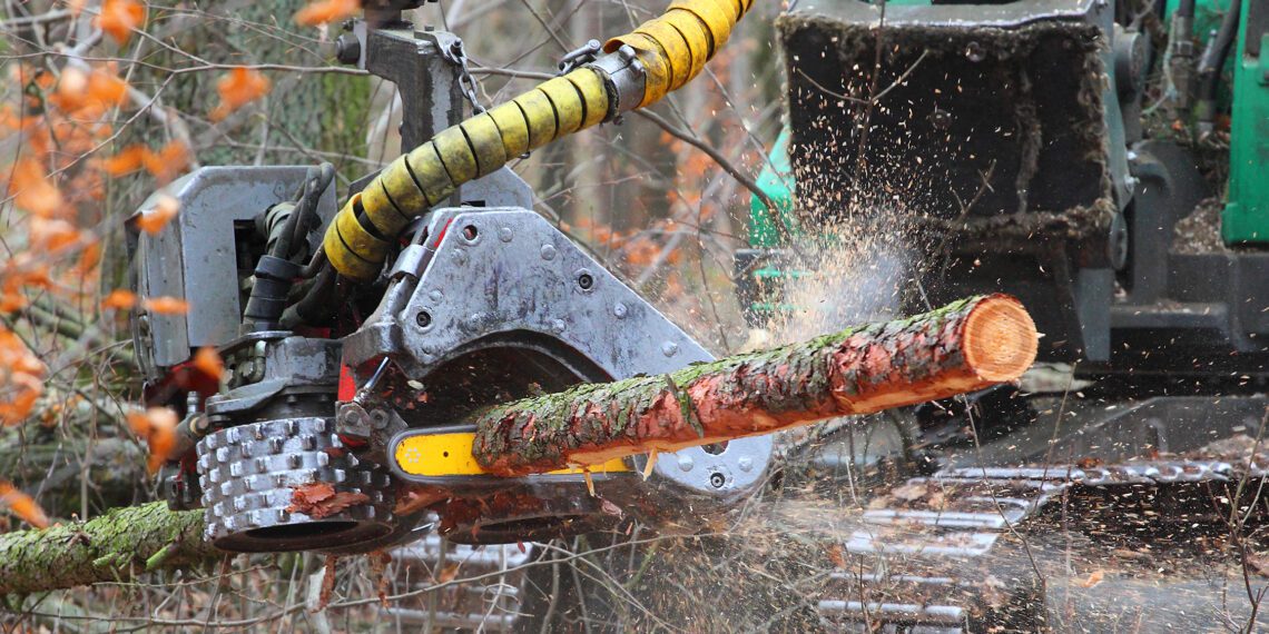 Puidu kasutamine küttematerjalina annab mitmekordse hinnavõidu. Foto: Shutterstock