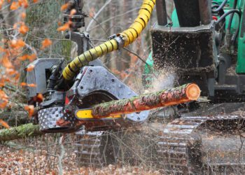 Puidu kasutamine küttematerjalina annab mitmekordse hinnavõidu. Foto: Shutterstock