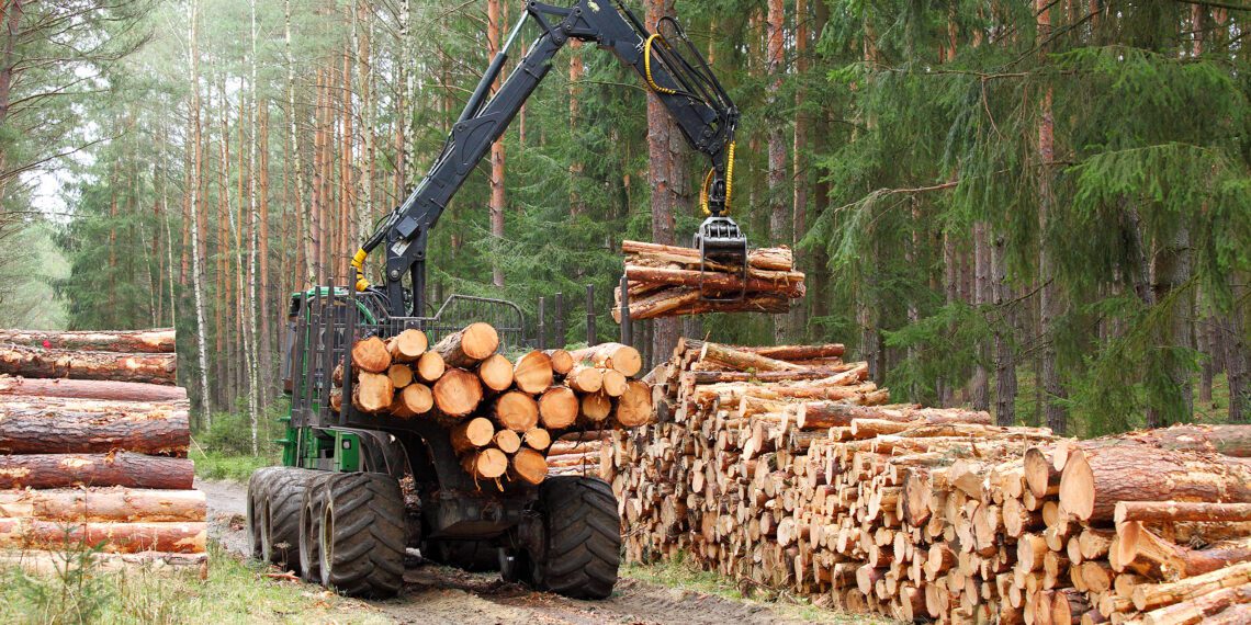 metsanduse arengukava jätab arvestamata puidu rolli kliimamuutuste leevendamisel. Foto: Shutterstock