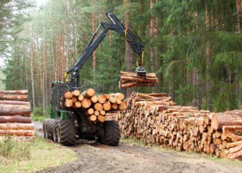 metsanduse arengukava jätab arvestamata puidu rolli kliimamuutuste leevendamisel. Foto: Shutterstock