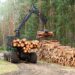 metsanduse arengukava jätab arvestamata puidu rolli kliimamuutuste leevendamisel. Foto: Shutterstock