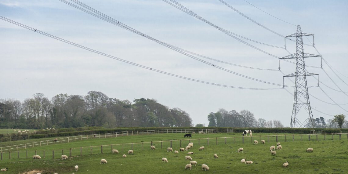 Koda maaeluministrile: ettevõtjad vajavad energiakriisis leevendust. Foto: Shutterstock