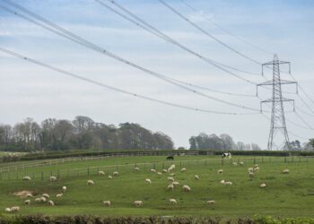 Koda maaeluministrile: ettevõtjad vajavad energiakriisis leevendust. Foto: Shutterstock
