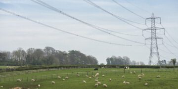 Koda maaeluministrile: ettevõtjad vajavad energiakriisis leevendust. Foto: Shutterstock