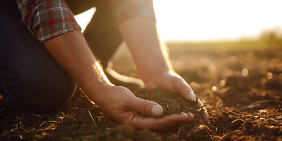 Milline on Eesti positsioon „Talust taldrikule“ strateegia eesmärkide valguses? Foto: Shutterstock