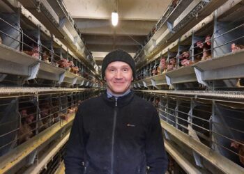 Munatootmine Eestis - Eesti Põllumajandus-Kaubanduskoja põllumajandusvaldkonna juhi Meelika Sander-Sõrmuse kokkuvõte. Valgamaal asuva Linnu talu OÜ ärijuht Jarno Hermet sõnul on munade hinnatõus paratamatu. Foto: EPKK