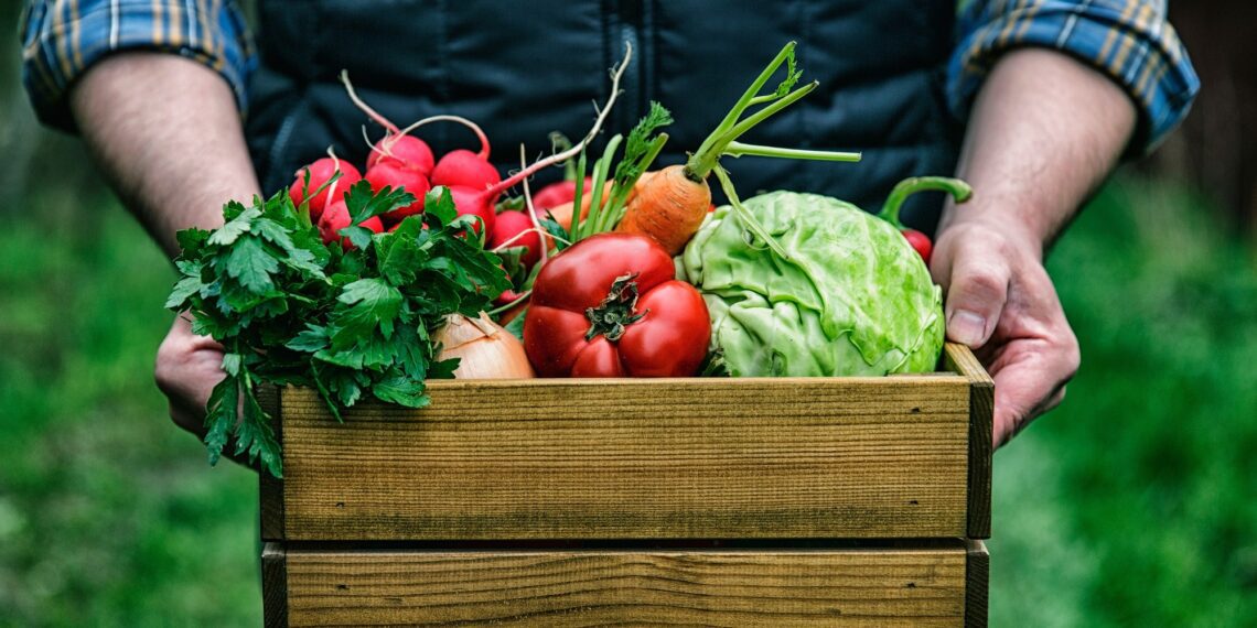 Kestlik toidusüsteem ja rohepööre. Foto: Shutterstock