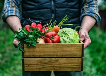 Kestlik toidusüsteem ja rohepööre. Foto: Shutterstock
