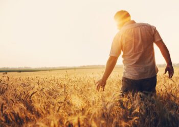 Kauaoodatud pakett üllatab: Euroopa Komisjon on avaldanud ettepanekud, et saavutada elurikkuse ja talust taldrikule strateegiate eesmärke. Foto: Shutterstock