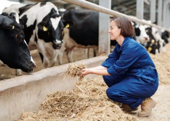Juulis jõustus söödaseaduse muudatus, millega täpsustatakse ravimsööda käitlemist ja kasutamist reguleerivaid sätteid. Eesmärk on vähendada loomade antibiootikumiresistentsust. Foto: Shutterstock