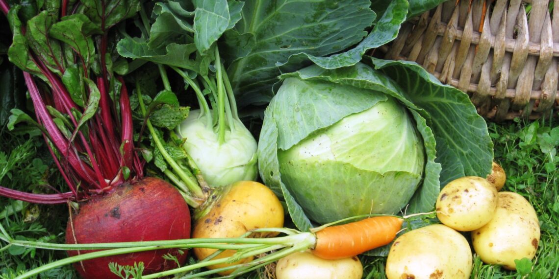 Eesti toitu kuu. Foto: EPKK