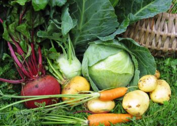 Eesti toitu kuu. Foto: EPKK