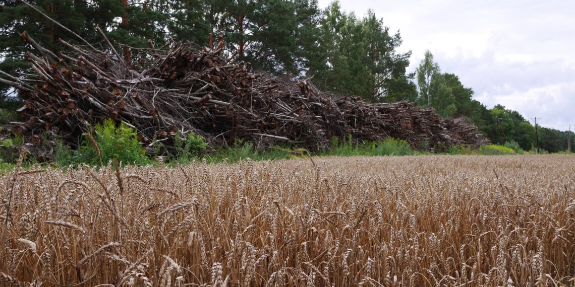 Sobilik aeg puhastada võsast põllumaad