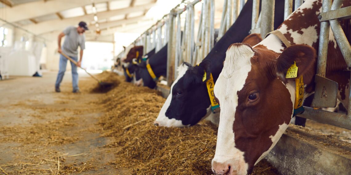 Investeeringutoetus aitab maale töökohti luua: toetuse taotlemiseks saab e-PRIA-s taotlusi esitada 7.–21. septembrini 2022. Pindala- ja loomapõhiste toetuste taotlemine. Foto: Shutterstock