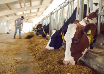 Investeeringutoetus aitab maale töökohti luua: toetuse taotlemiseks saab e-PRIA-s taotlusi esitada 7.–21. septembrini 2022. Pindala- ja loomapõhiste toetuste taotlemine. Foto: Shutterstock