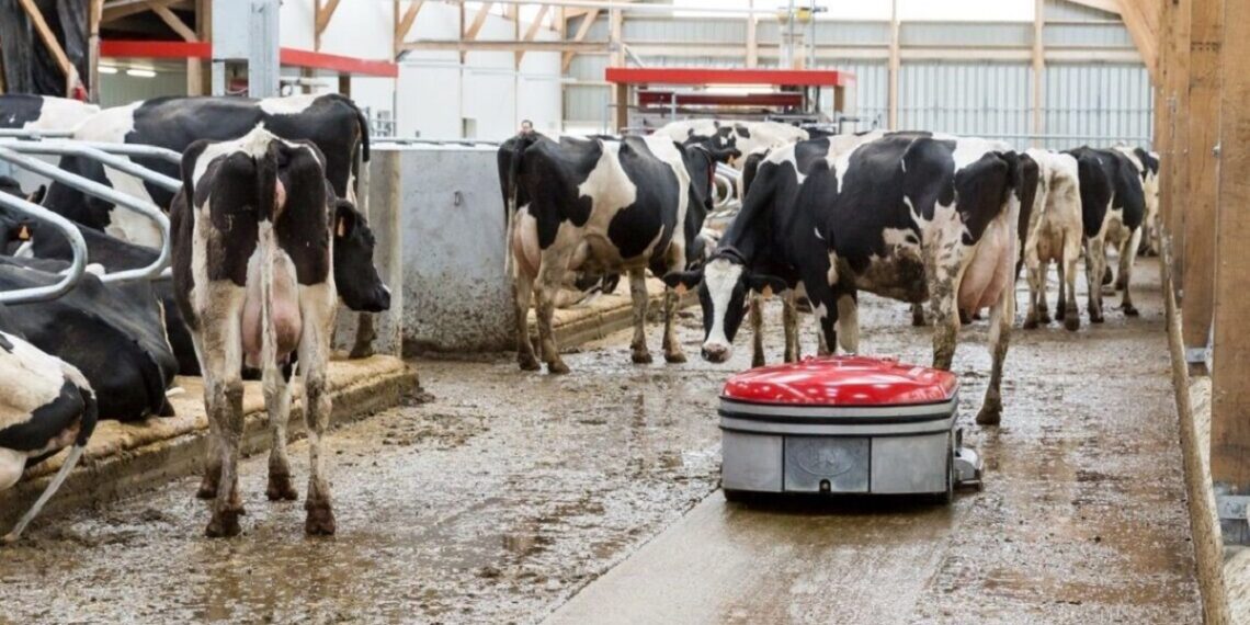 Sõnnikurobot Discovery 120 Collector - laudapõrandate puhastamine ei ole kunagi olnud kergem. Vaata Linery kodulehelt!