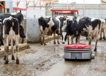 Sõnnikurobot Discovery 120 Collector - laudapõrandate puhastamine ei ole kunagi olnud kergem. Vaata Linery kodulehelt!