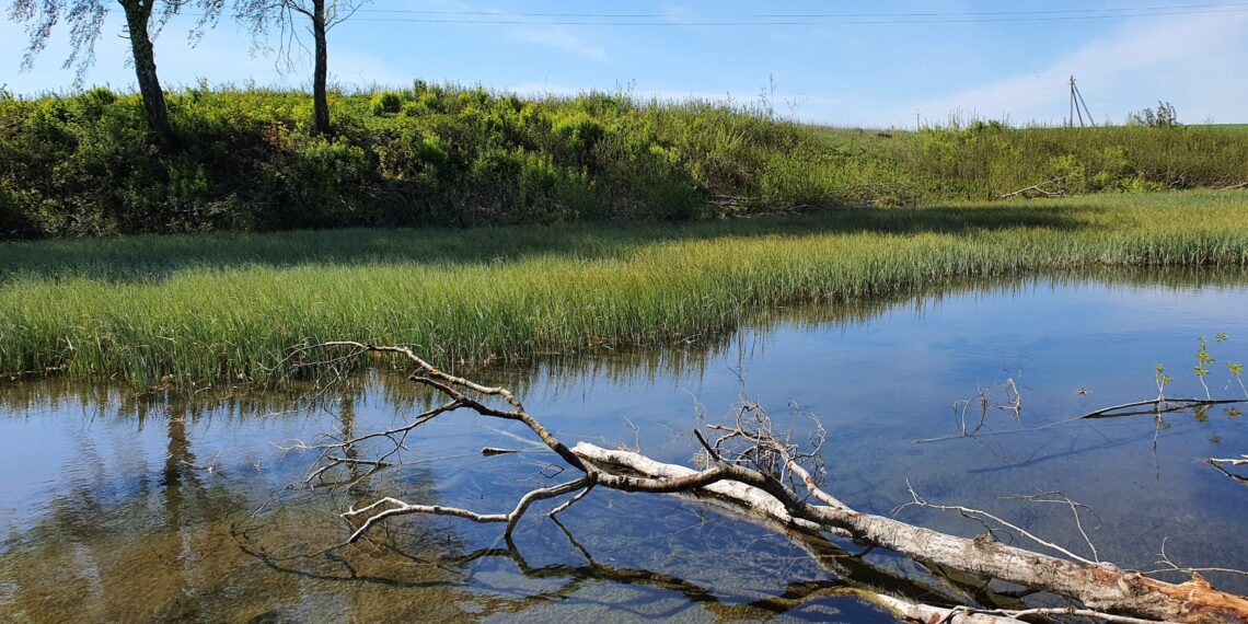 Teadlased Tallinna Tehnikaülikoolist ja geoloogiateenistusest: põhjavee kvaliteet mõjutab Pandivere jõgede seisundit. Vetiku Söeoru allikad. Foto: erakogu