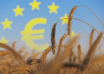 Üleminek uuele ÜPP-le algab, aga selgust toetuste osas napib. Foto: Shutterstock