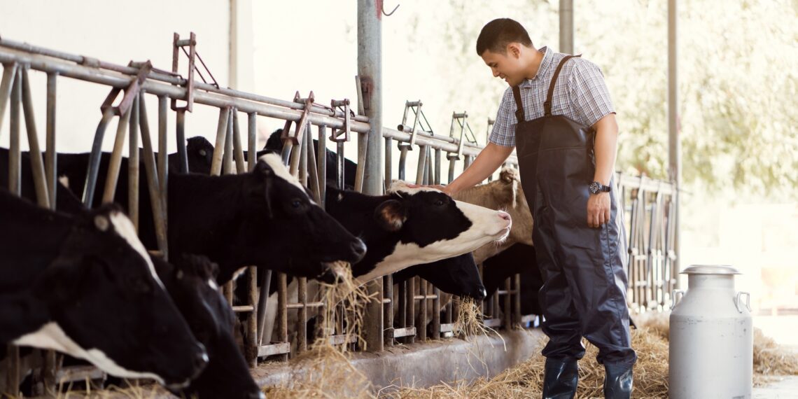 Piimatootjate rekordiline tulu kaob hinnatõusu. Foto: Shutterstock