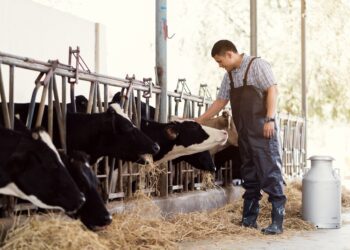 Piimatootjate rekordiline tulu kaob hinnatõusu. Foto: Shutterstock