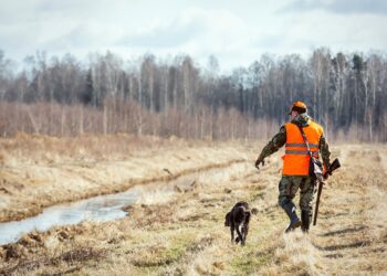 Eesti Erametsaliidu juht Jaanus Aun analüüsib jahimeeste ja maaomanike koostööd ning kinnitab, et jahiseadus on küps värskendamiseks. Foto: Shutterstock