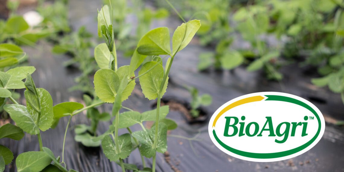 BioAgri on kompostitav ja biolagunev põllukile