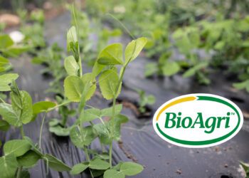 BioAgri on kompostitav ja biolagunev põllukile