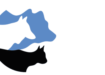 Suurkiskjate uuringus tehti vahekokkuvõte