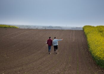 PRIA kontrolliosakonna juhataja selgitab: ettevõtete ühine tegutsemine kui ärimudel või ligipääsu avardamine PRIA toetustele Foto: Shutterstock