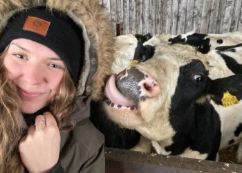 Üks põhjus, miks Teele Eskor läks veterinaariks õppima, on veterinaaride puudus. „Olen oma loomi sageli pidanud ravima telefoni ja videote saatmise teel,“ nendib noortalunik Teele. Foto: erakogu