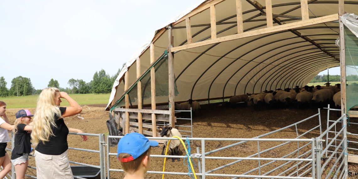 Avatud talude päevale on end kirja pannud sadakond talu. Avatud talude päev on kogupereüritus, kus tore aega veeta nii väikestel kui ka suurtel. Fotod: Andres Kärssin
