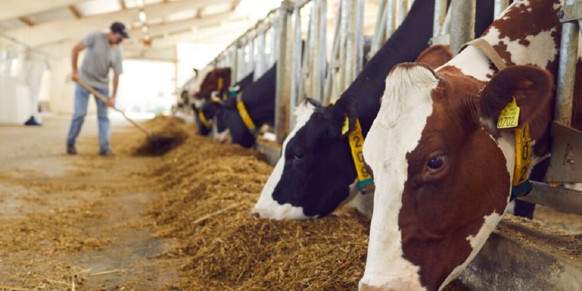 Pindala- ja loomapõhiste toetuste taotlemine. Foto: Shutterstock