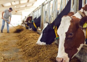 Pindala- ja loomapõhiste toetuste taotlemine. Foto: Shutterstock