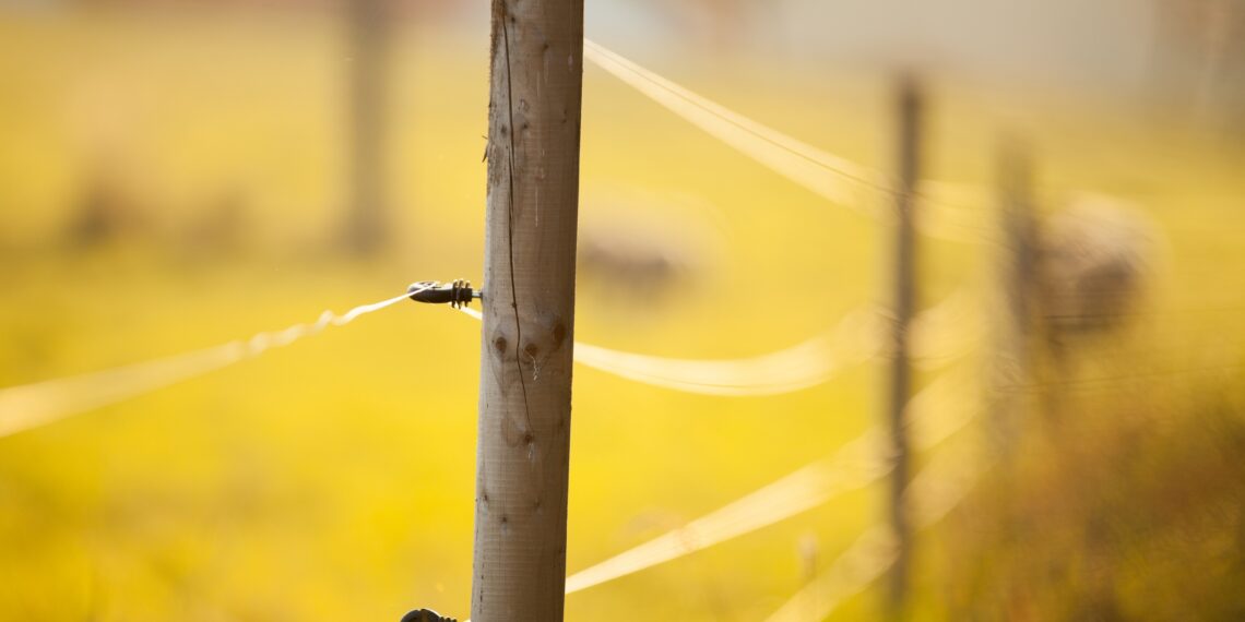 Põllumajandusmaa. Foto: Shutterstock