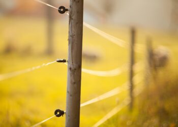 Põllumajandusmaa. Foto: Shutterstock