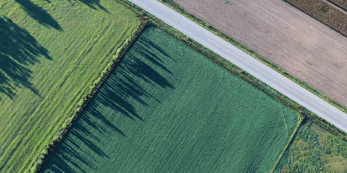 Maamaksu tõus. Foto: Pixabay