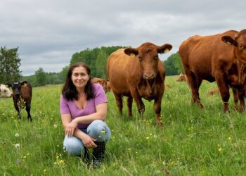 Airi Külvet on veendunud, et portsjon­karjatamine hoiab karjamaad heas korras. Airi Külvet on ka Aasta Põllumees 2023. Taastav põllumajandus. Foto: Sven Arbet /Scanpix