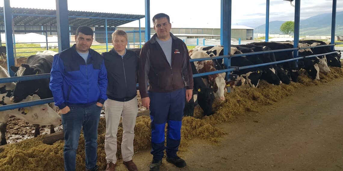 Kesk-Aasia piimakarjad saavad Eestist täiendust. Aserbaidžaani loomakasvatajad koos Tanel-Taavi Bulitkoga Kesk-Aserbaidžaanis AZZA Agro farmis, kus on 500 holsteini tõugu lehma, neist 100 on ostetud Eestist. Foto: Eesti Põllumajandus-Kaubanduskoda